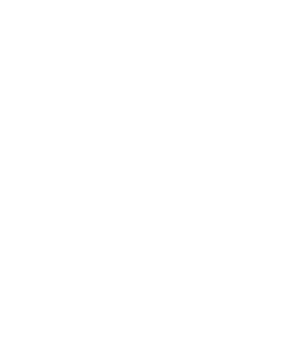 Thunderbolt Logo